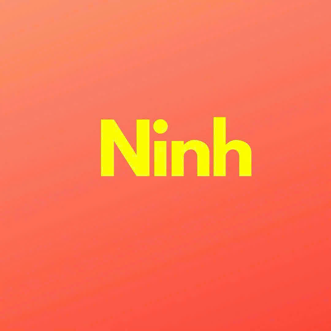 Phạm Hồng Ninh