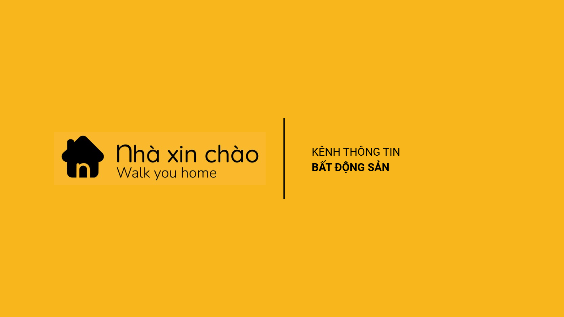 Nguyễn Ngọc Thu Cover
