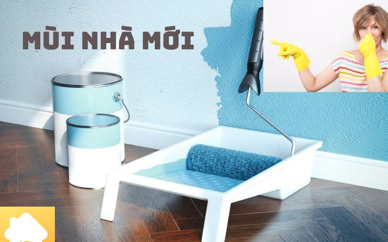 Mùi nhà mới - rủi ro và cách khử mùi cho căn nhà mới