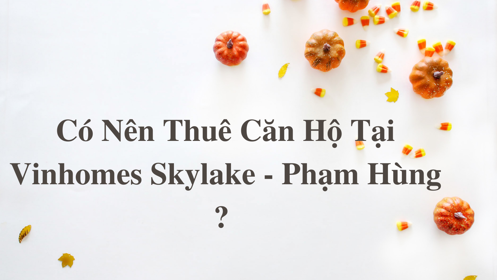 Có Nên Thuê Căn Hộ Tại Vinhomes Skylake - Phạm Hùng ?
