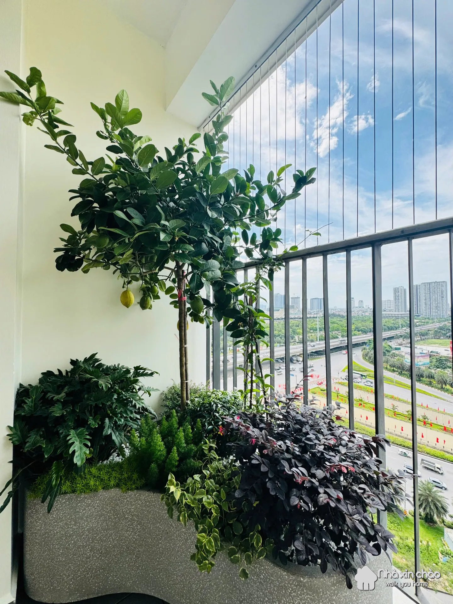 Bán căn hộ 3PN Vinhomes D'Capitale – Giá 15.5 Tỷ – Mã NXC65198 - Hình 2