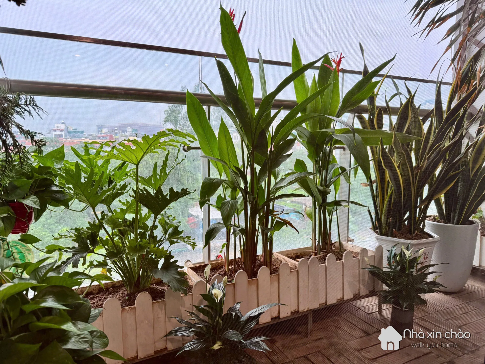 W3 west point – căn 2n2vs full đồ, nhà mới sửa, giá 18tr/tháng! - Hình 2